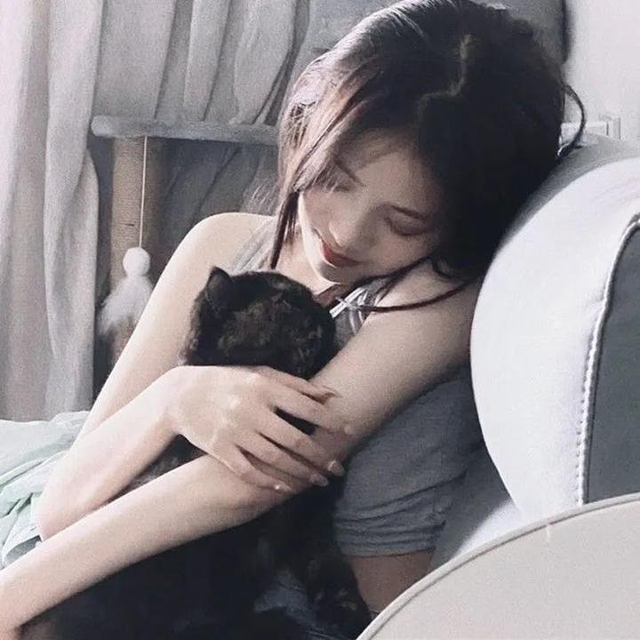 我的英雄学院第五季